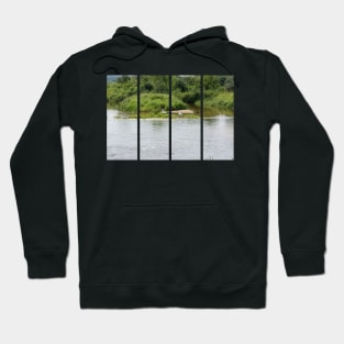 Lake with swans and ducks in the water. Relax in the nature. Sunny summer day in Poland. Hoodie